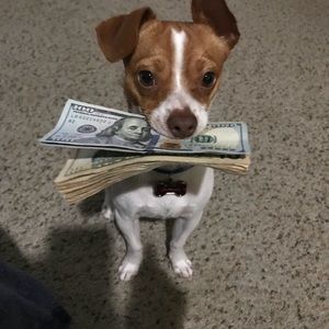 Meet your Posher, Anna